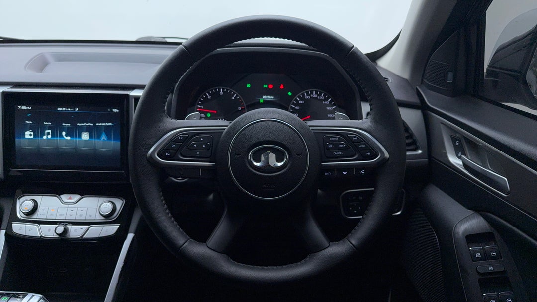 Steering Wheel Close-up