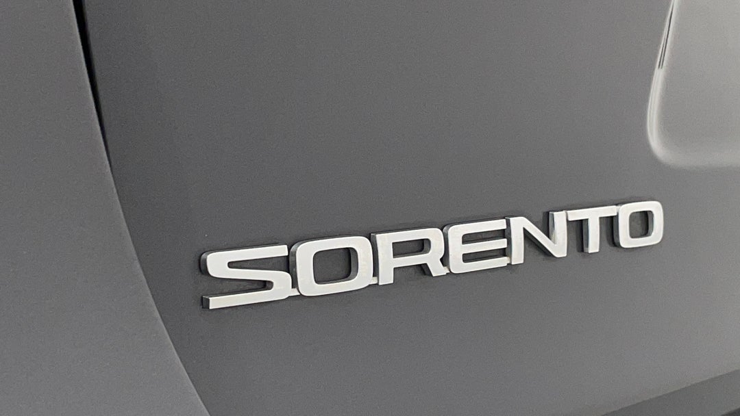 Badge (Boot Left Side)