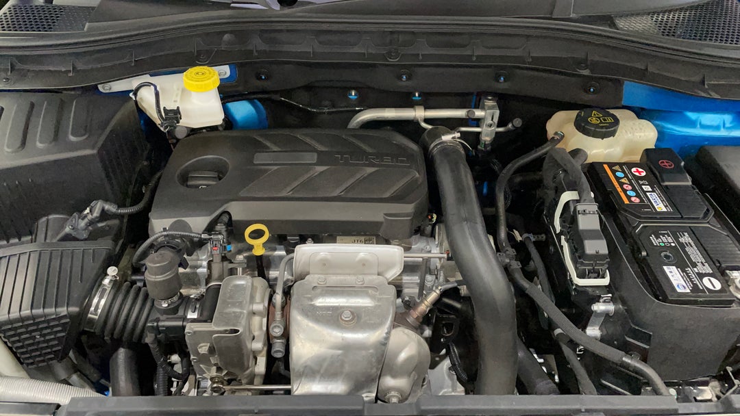 Open Bonnet (Engine)