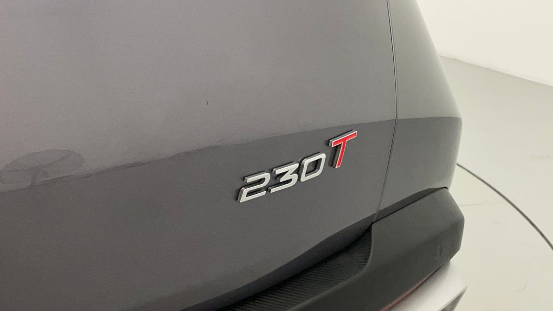 Badge (Boot Right Side)