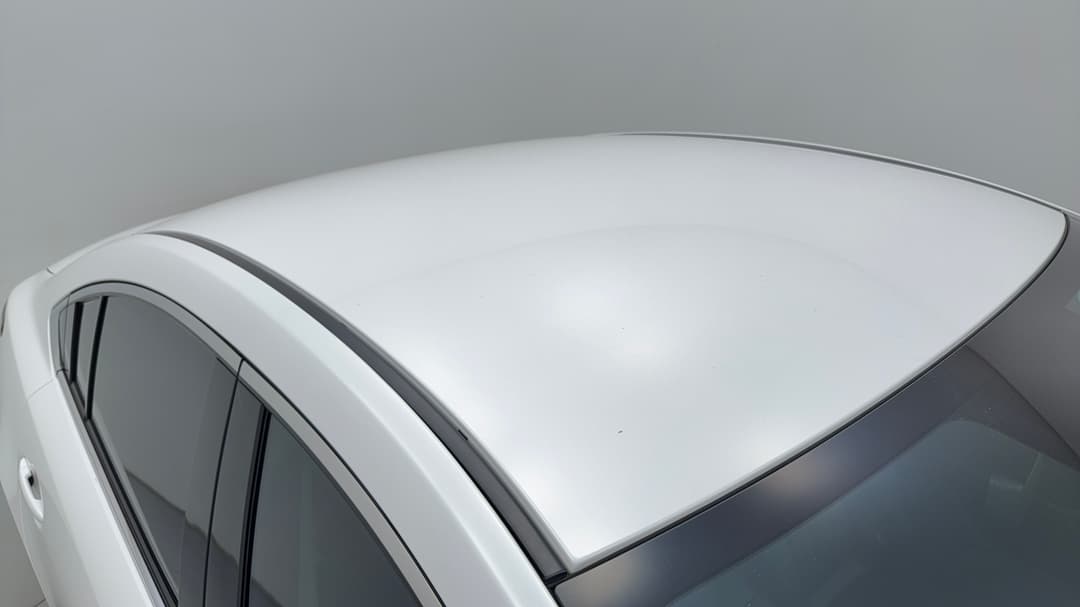 Roof/Sunroof View