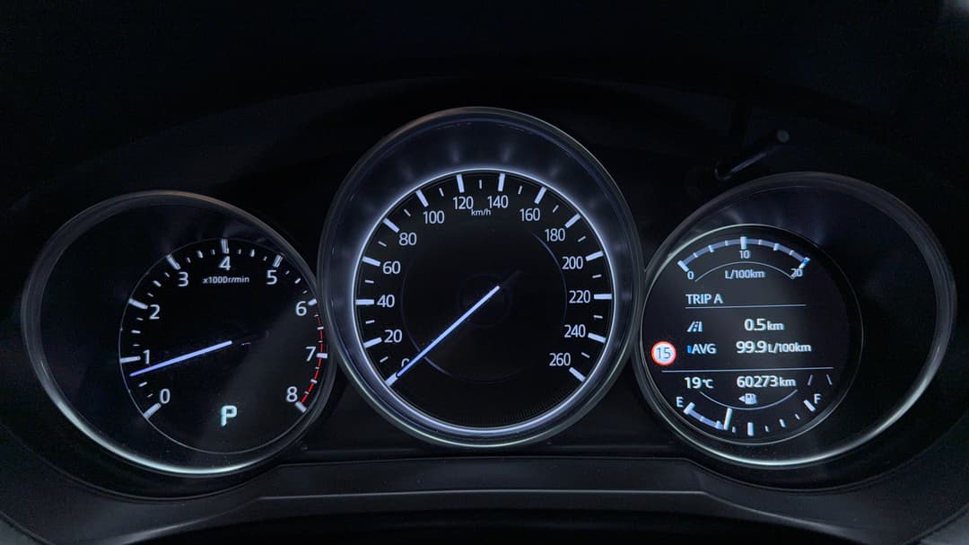 Odometer View