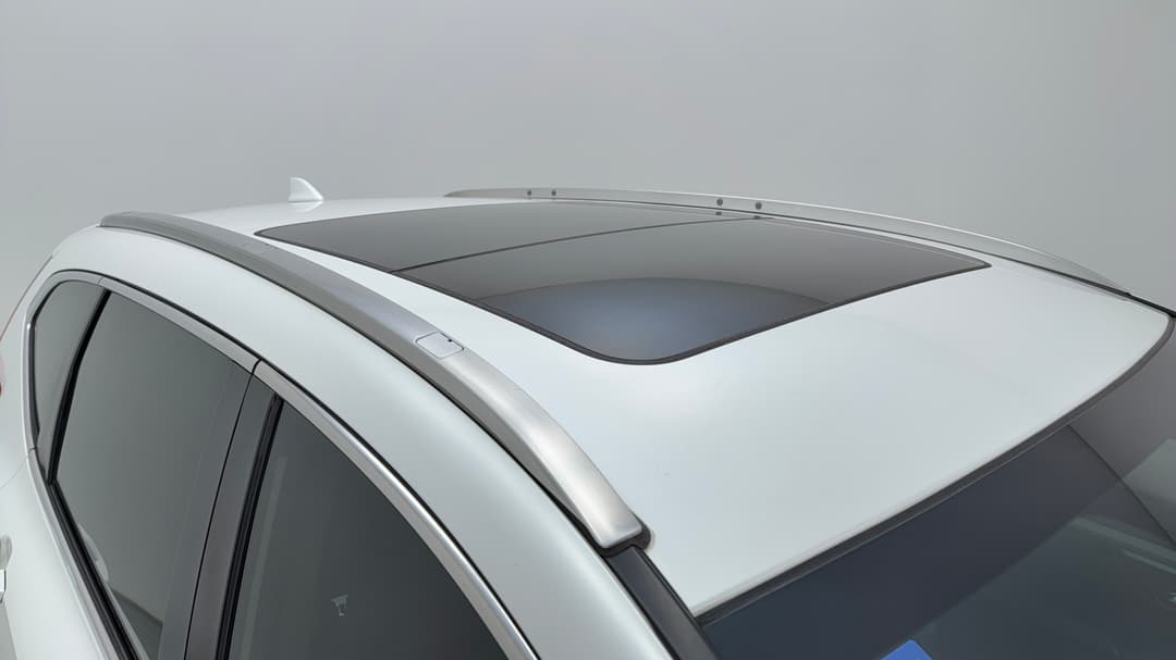 Roof/Sunroof View