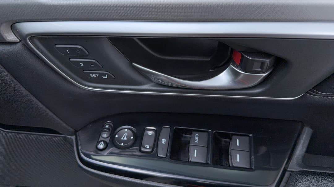 Drivers Side Door Panel Controls