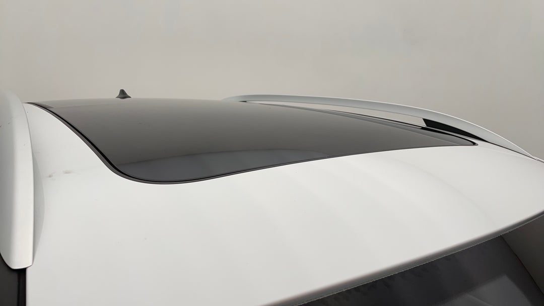 Roof/Sunroof View