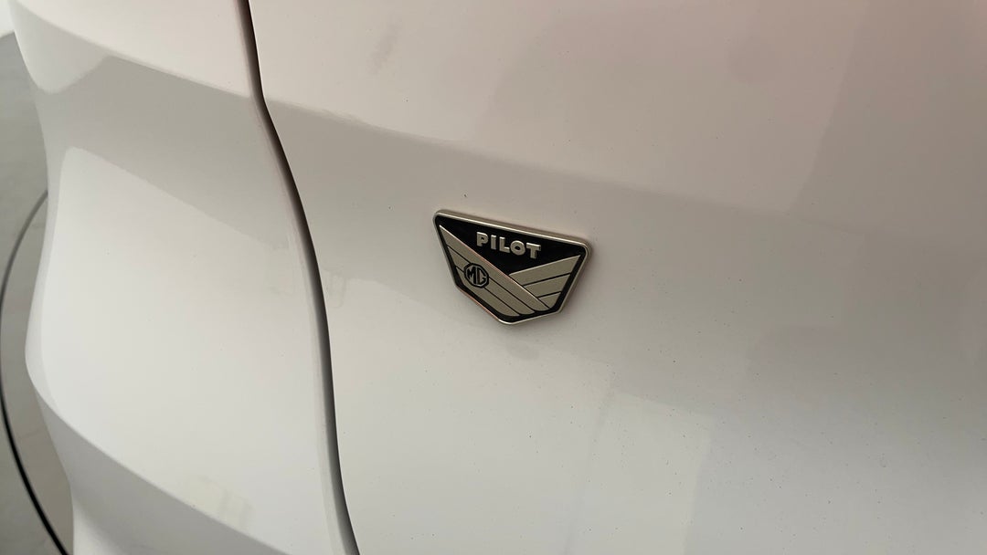 Badge (Boot Left Side)