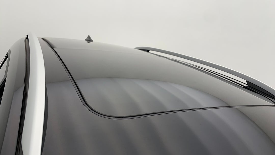 Roof/Sunroof View