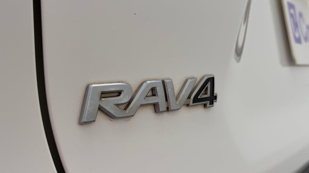 Badge (Boot Left Side)