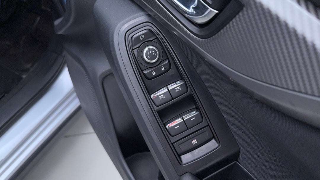 Drivers Side Door Panel Controls