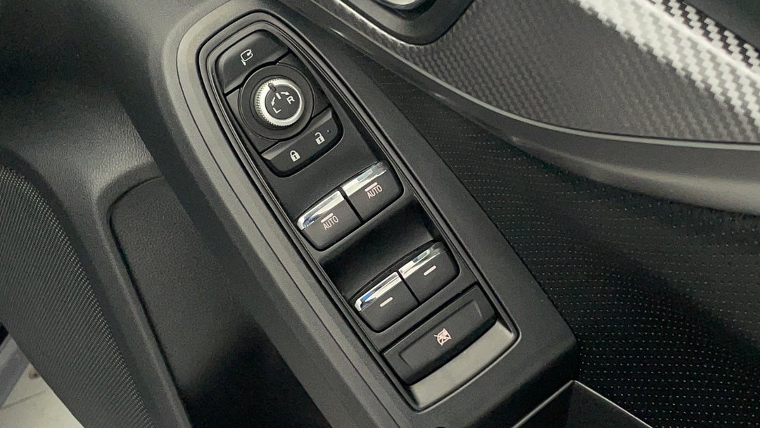 Drivers Side Door Panel Controls