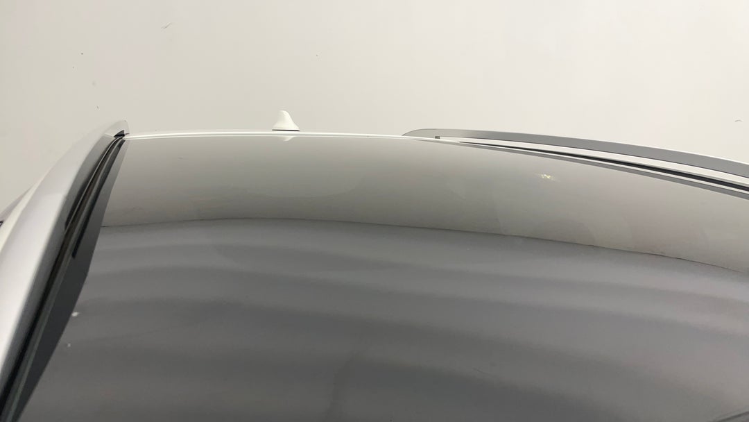 Roof/Sunroof View