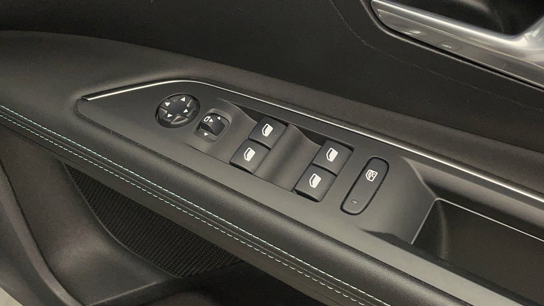 Drivers Side Door Panel Controls