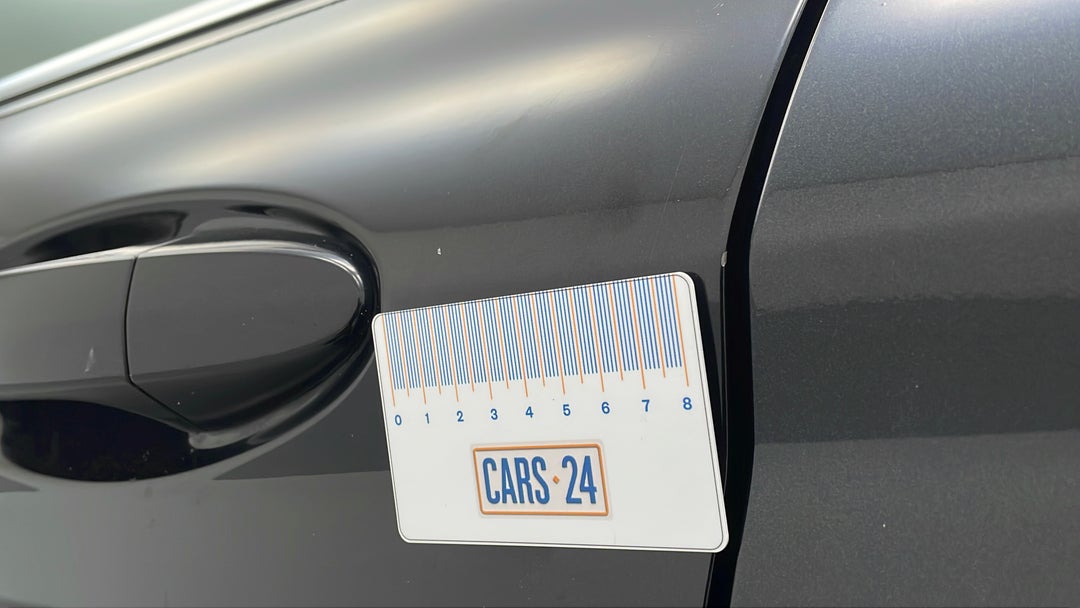 Doors Front LHS Chip