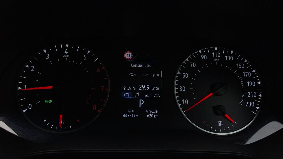 Odometer View
