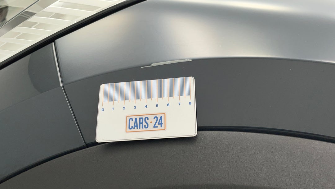 Quarter Panel Front LHS Guard Chip