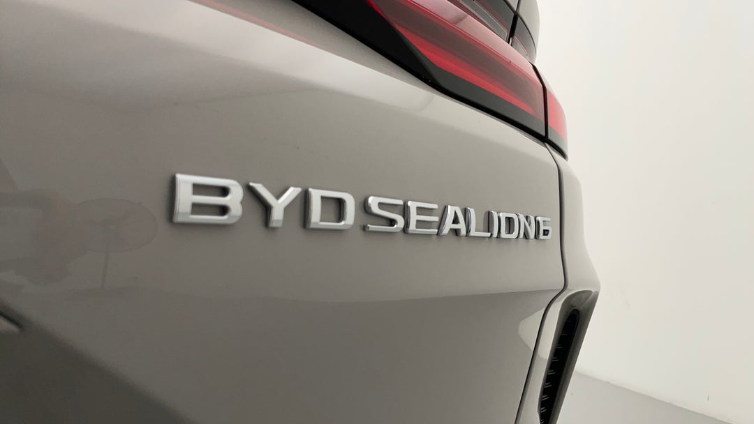 Badge (Boot Right Side)