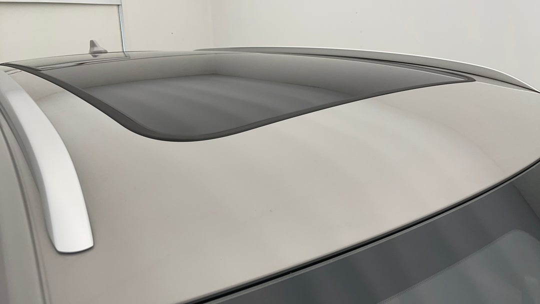 Roof/Sunroof View