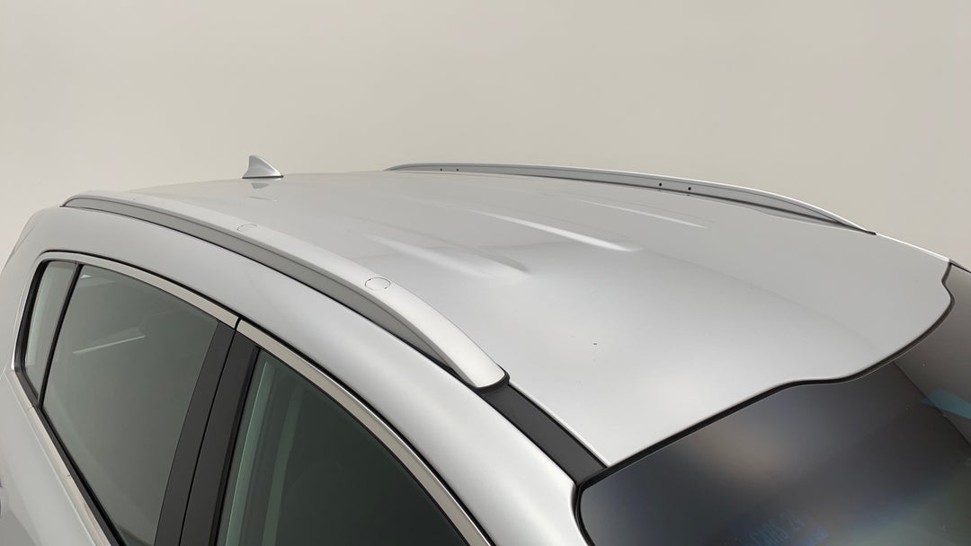 Roof/Sunroof View