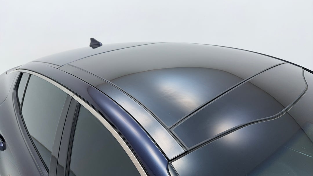 Roof/Sunroof View
