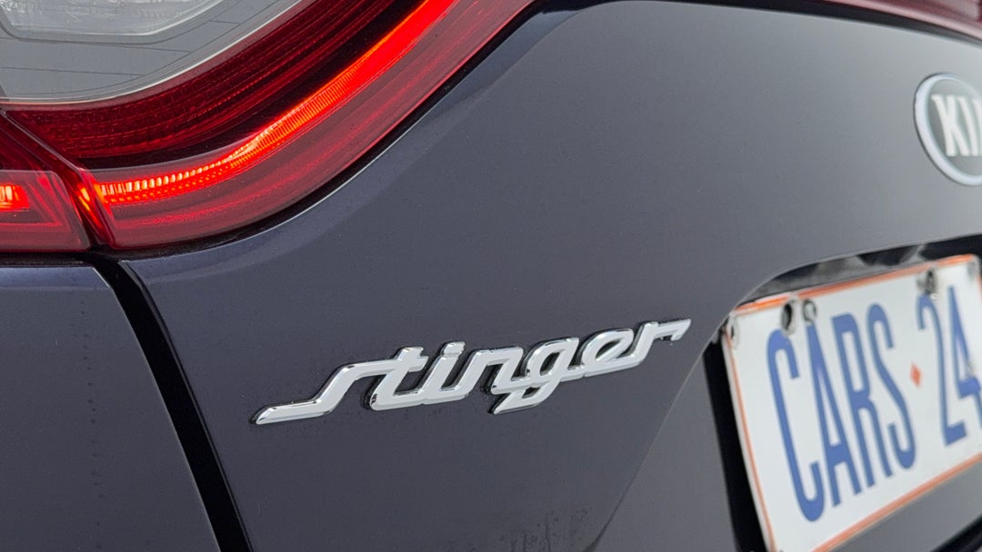 Badge (Boot Left Side)