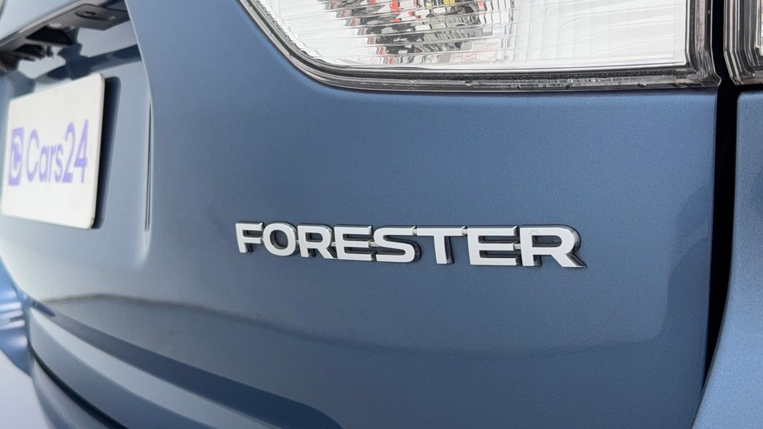 Badge (Boot Right Side)