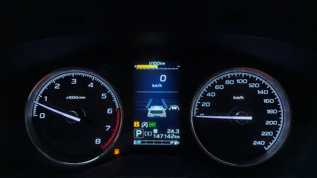Odometer View