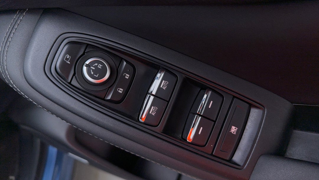 Drivers Side Door Panel Controls