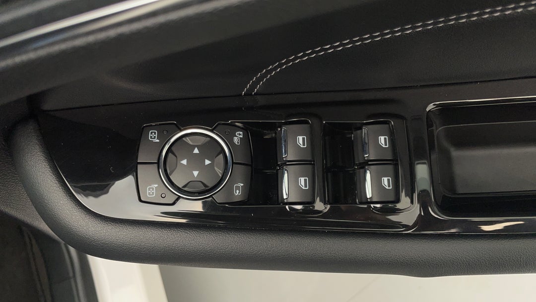 Drivers Side Door Panel Controls