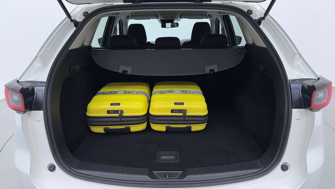 Boot Inside View with Luggage