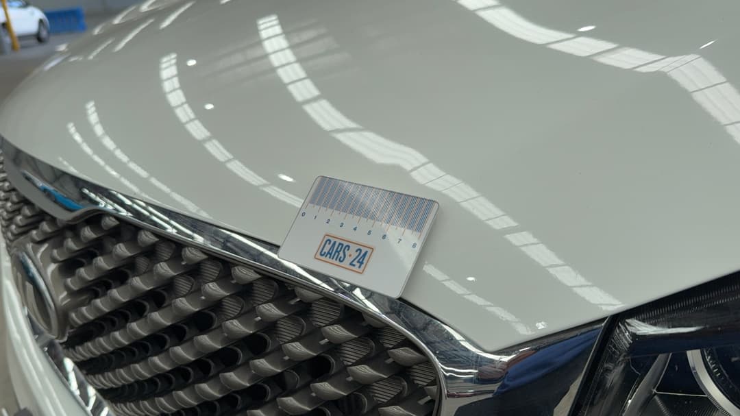 Bonnet Dent