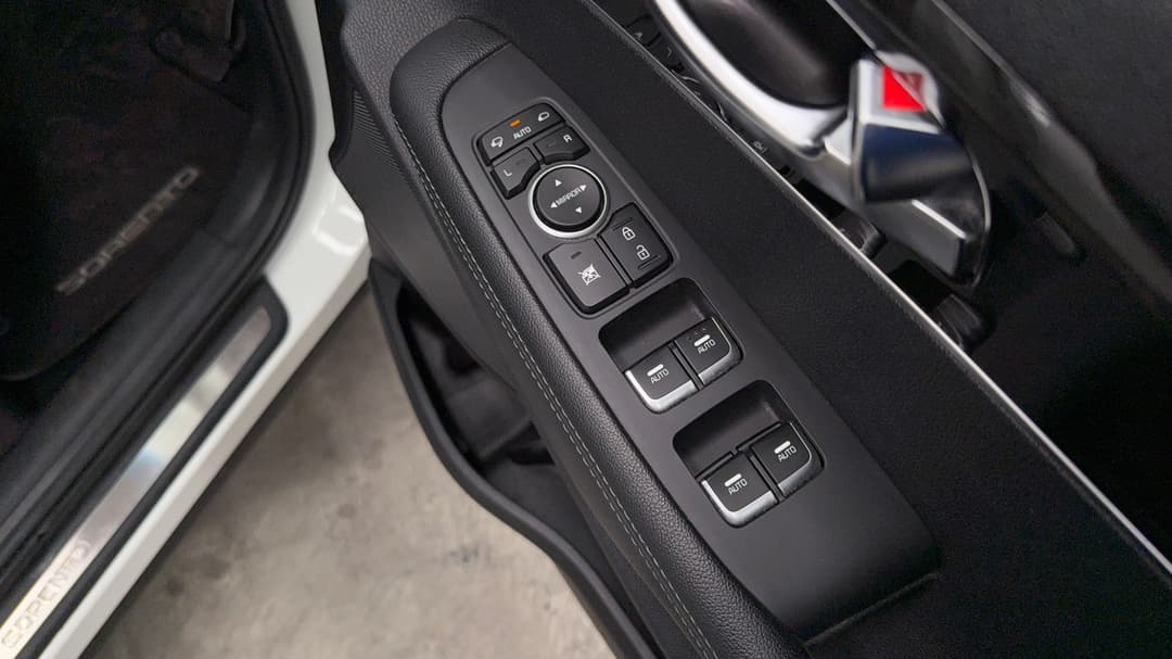 Drivers Side Door Panel Controls
