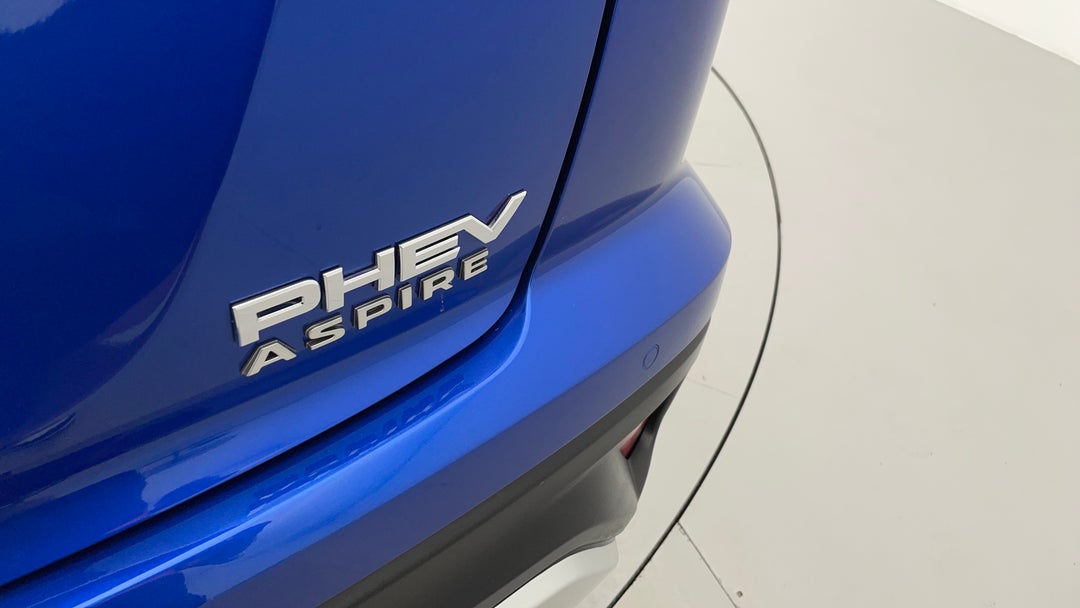 Badge (Boot Right Side)