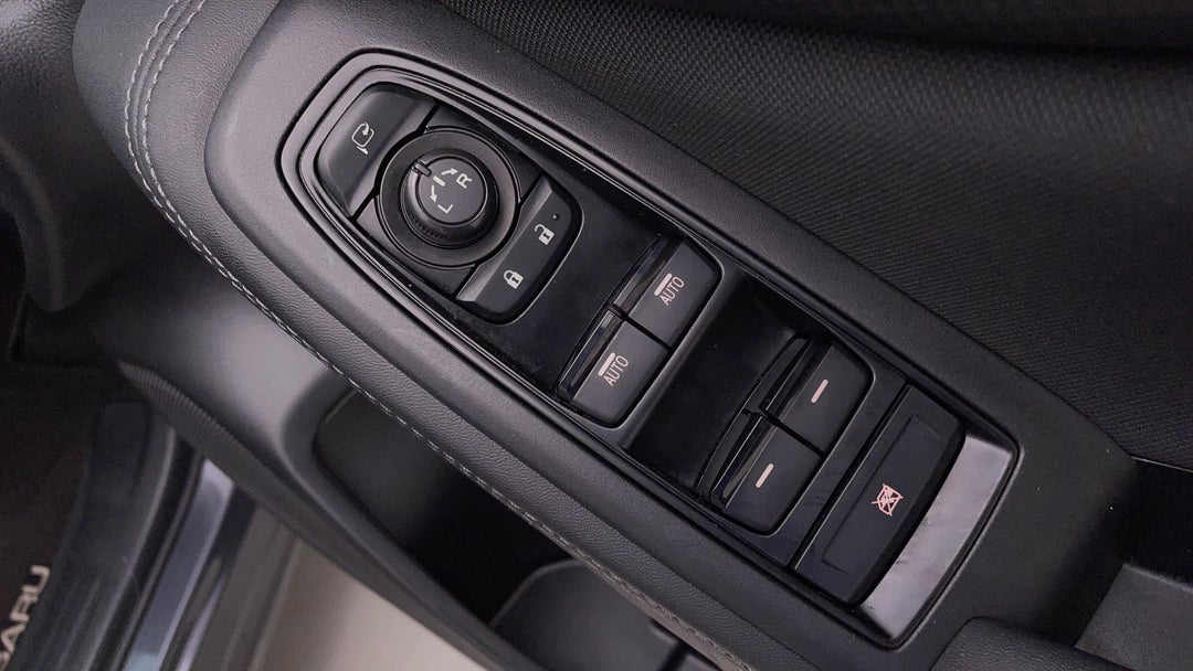 Drivers Side Door Panel Controls