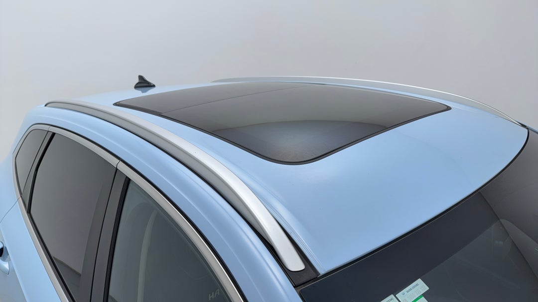 Roof/Sunroof View