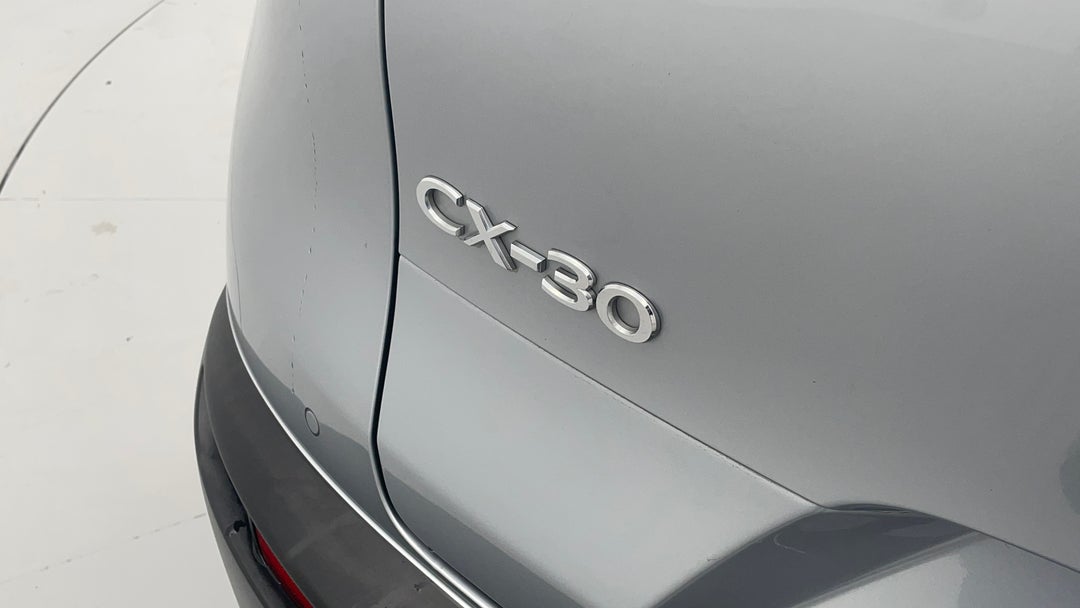 Badge (Boot Left Side)