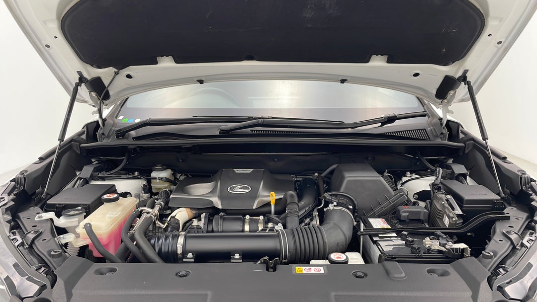 Open Bonnet (Engine)