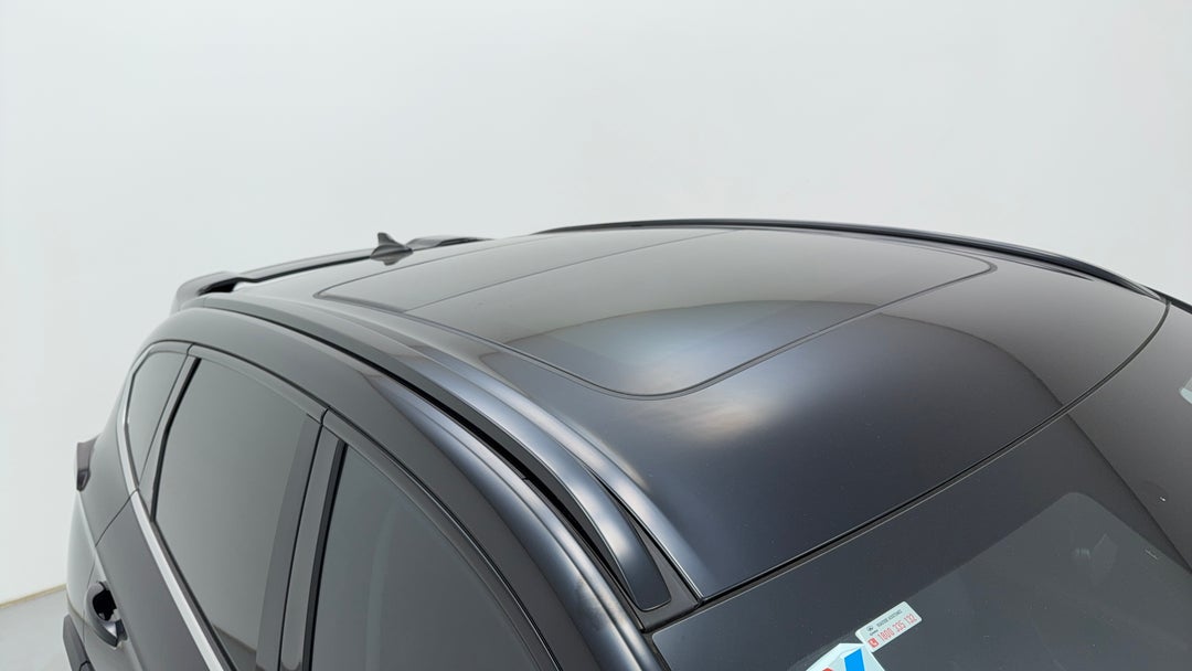 Roof/Sunroof View