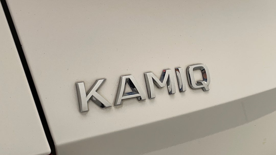 Badge (Boot Left Side)