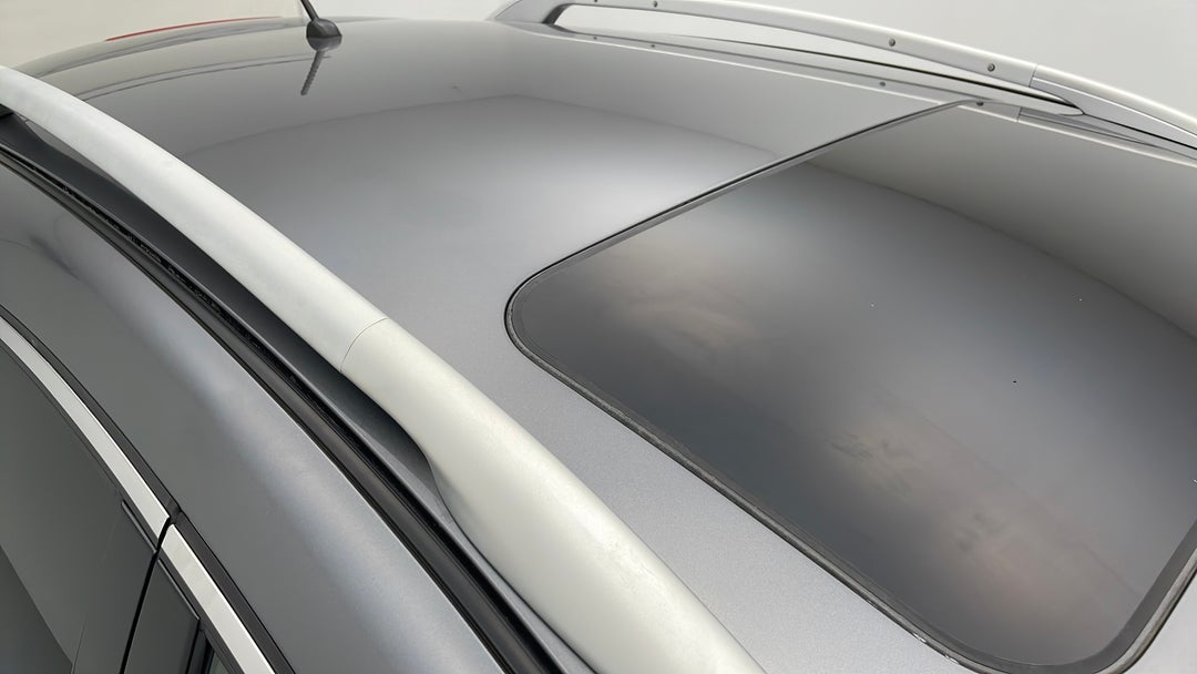 Roof/Sunroof View