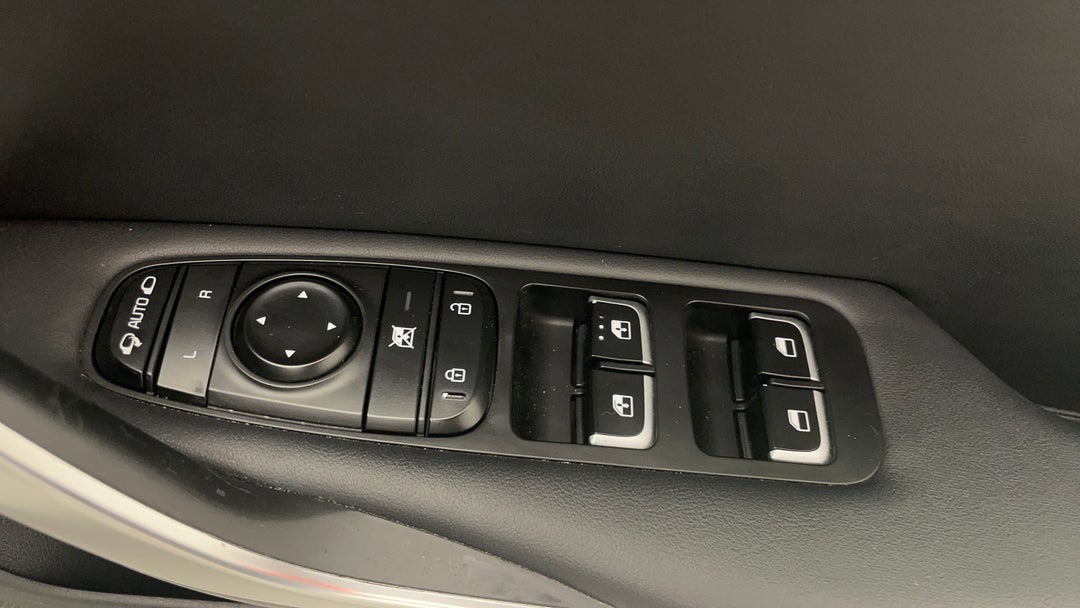 Drivers Side Door Panel Controls