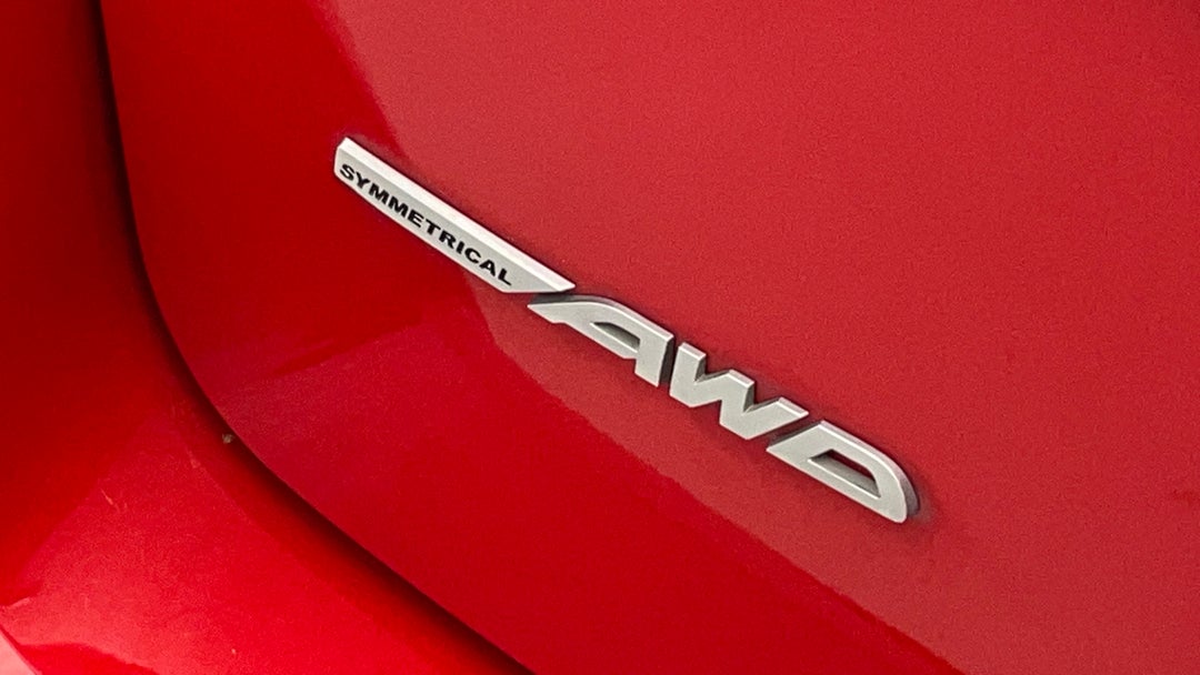 Badge (Boot Left Side)