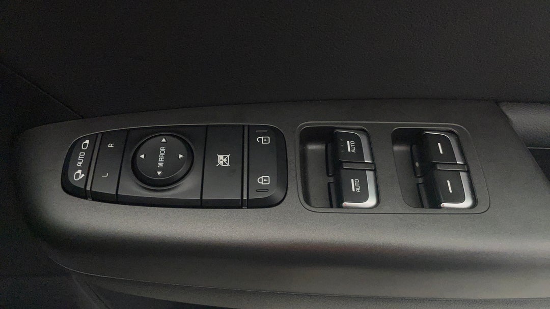 Drivers Side Door Panel Controls
