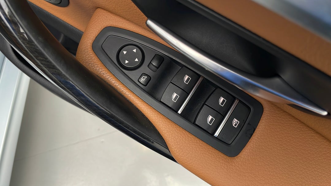 Drivers Side Door Panel Controls