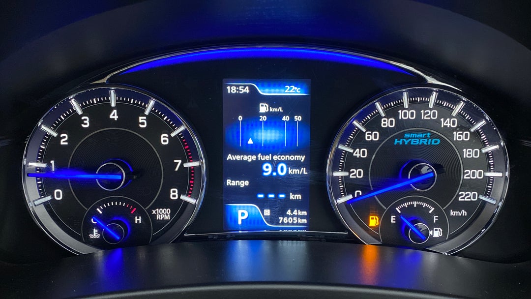 Odometer Image