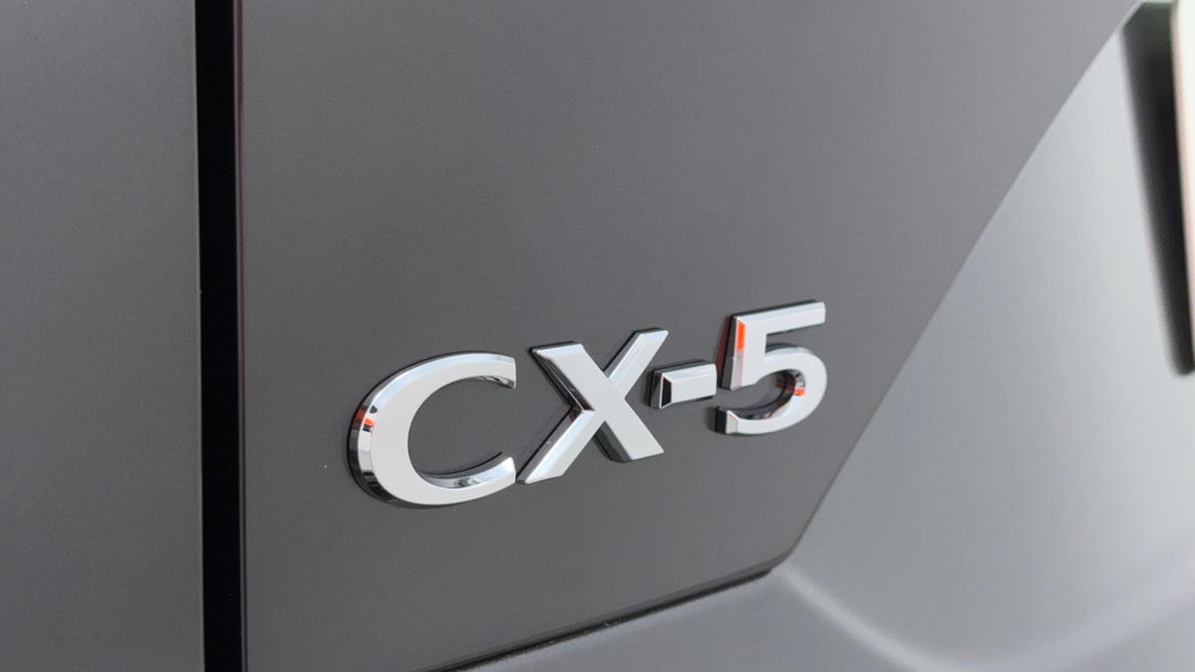 Badge (Boot Left Side)