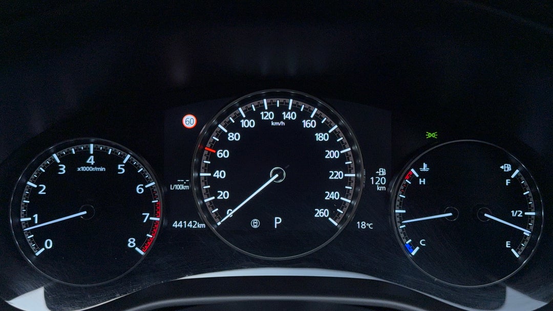 Odometer View