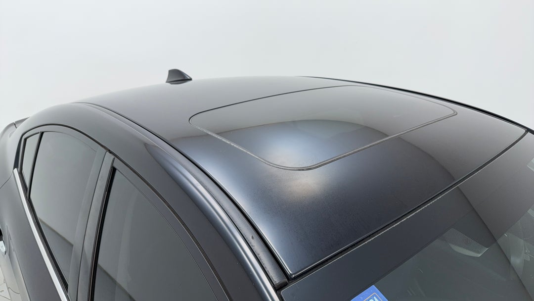 Roof/Sunroof View