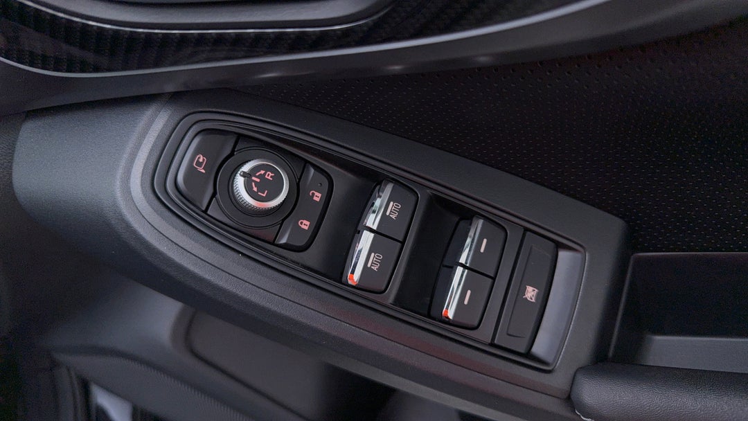 Drivers Side Door Panel Controls