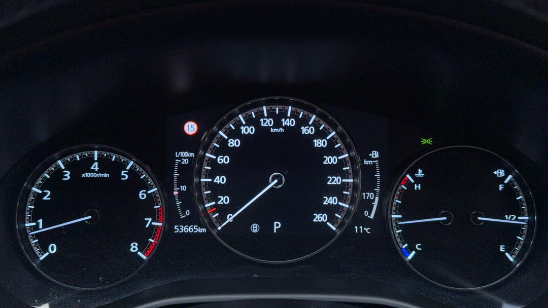 Odometer View