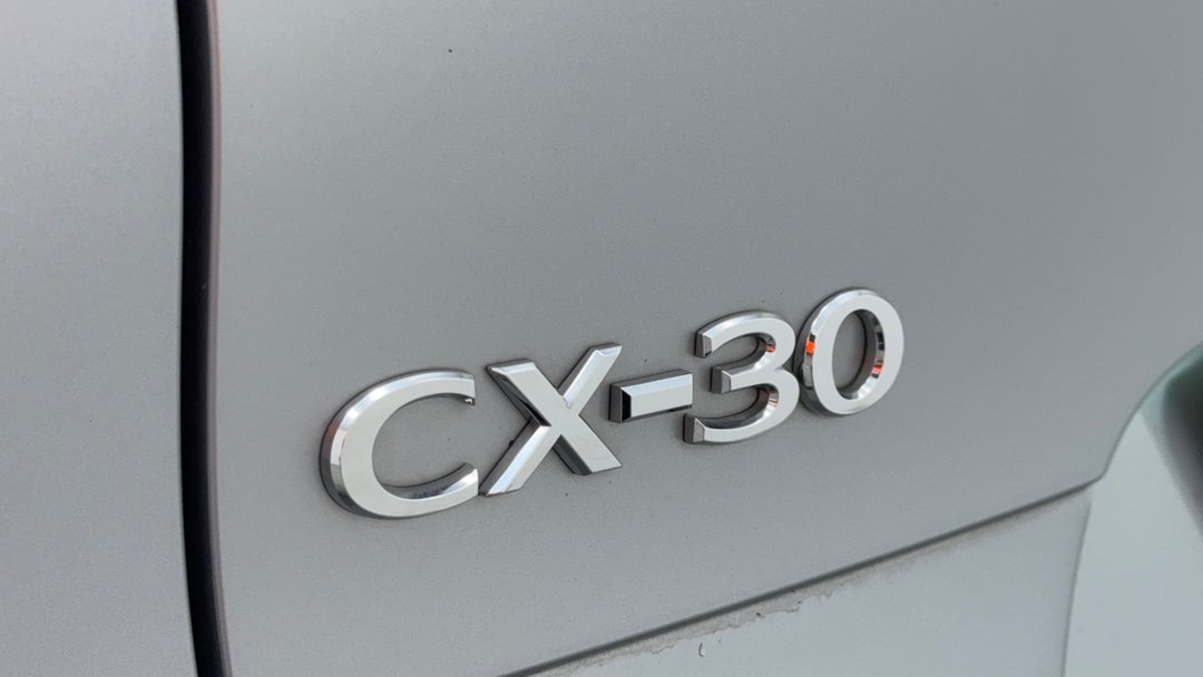 Badge (Boot Left Side)